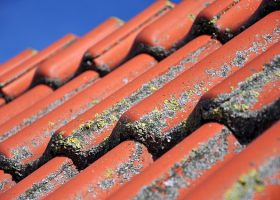 roof-1559814_640